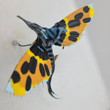 Playfield Character Jake Sully on Skimwing for Avatar