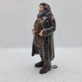 Playfield Hagrid & Fang for Harry Potter