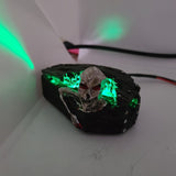 Walking Dead Coffin Mod with corpse