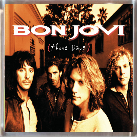 Bon Jovi Playfield Album Plaque These Days