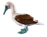 Jaws Playfield Blue-Footed Booby