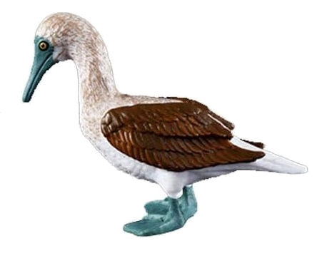Jaws Playfield Blue-Footed Booby