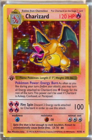 Pokemon Playfield Card Charizard
