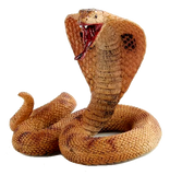 Playfield Cobra for Indiana Jones