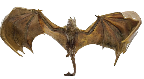 Game of Thrones Playfield Character "Syrax"
