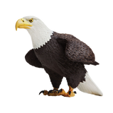 Evel Knievel Playfield Eagle