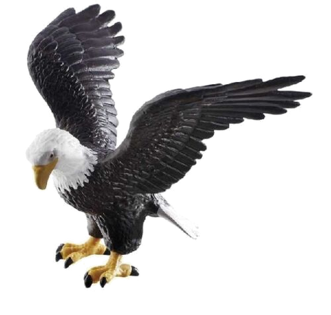 Evel Knievel Playfield Eagle