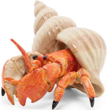 Jaws Playfield Hermit Crab