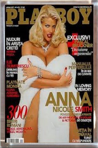 Playboy Playfield Plaque Anna Nicole