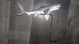 Jaws Playfield Black tip Shark