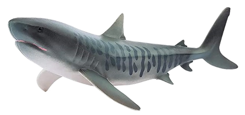Jaws Playfield Tiger Shark