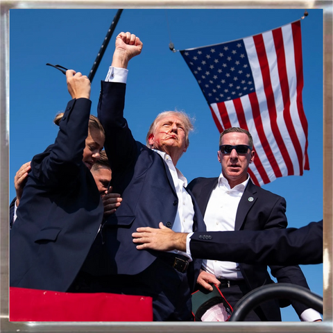 Trump Playfield Plaque Shot at Rally