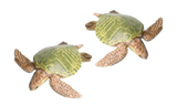 Jaws Playfield Turtles (Pair)