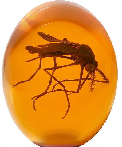 Jurassic Park "Amber with Mosquito" Shooter XL