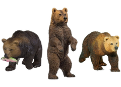 bears1_medium.png?v=1519470566