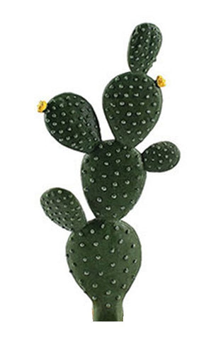 Cactus Canyon Playfield Cactus Prickly Pear