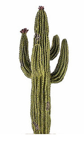 Cactus Canyon Playfield Cactus Saguaro