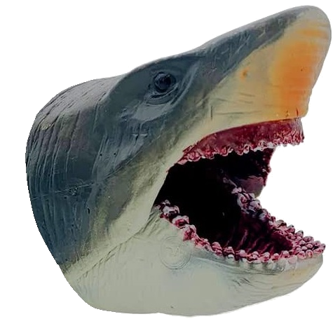 Character Shooter Shark