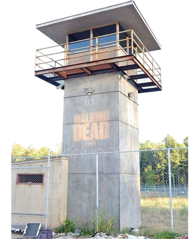 Walking Dead Custom Painted Tower